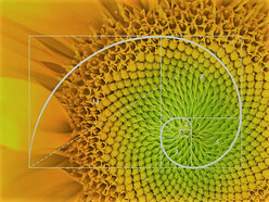 Fibonacci Pattern of 12 Jyotirlingas