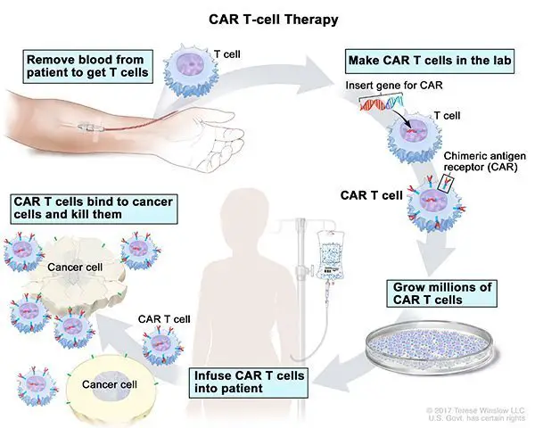 What is CAR-T Cell Therapy?