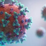 Norovirus